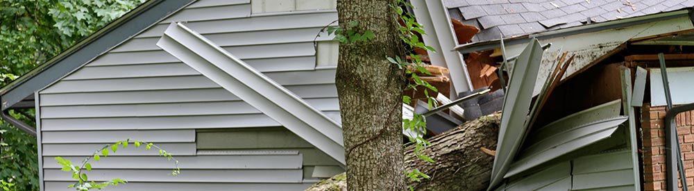 Fallen tree damages a building